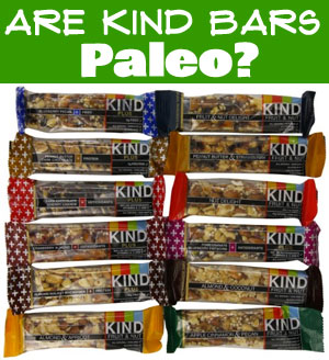 Are Kind Bars Paleo Protein Bars?